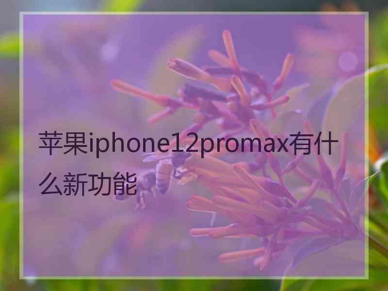 苹果iphone12promax有什么新功能