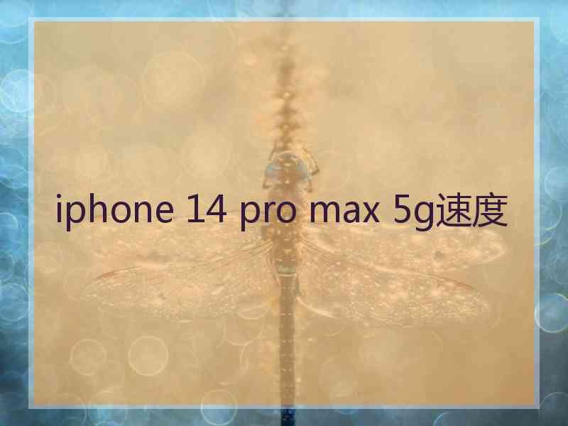 iphone 14 pro max 5g速度