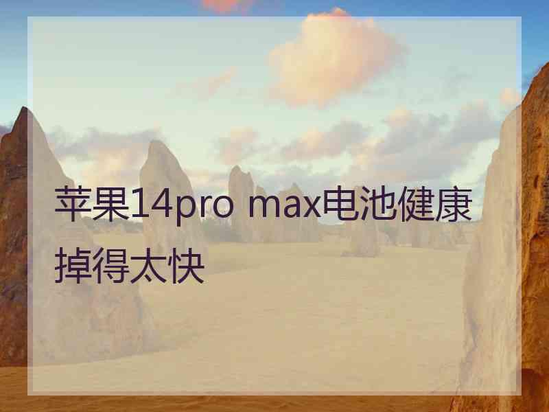 苹果14pro max电池健康掉得太快