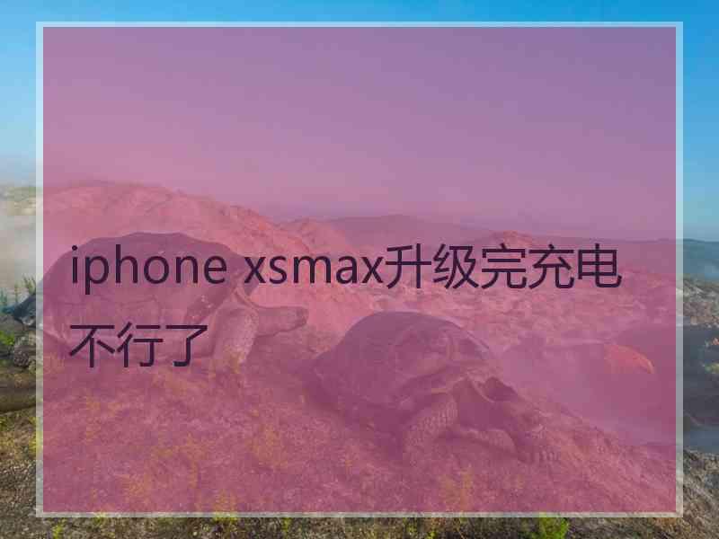 iphone xsmax升级完充电不行了