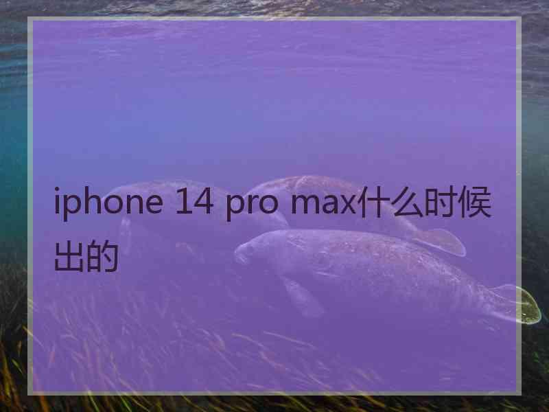 iphone 14 pro max什么时候出的