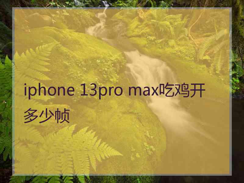 iphone 13pro max吃鸡开多少帧