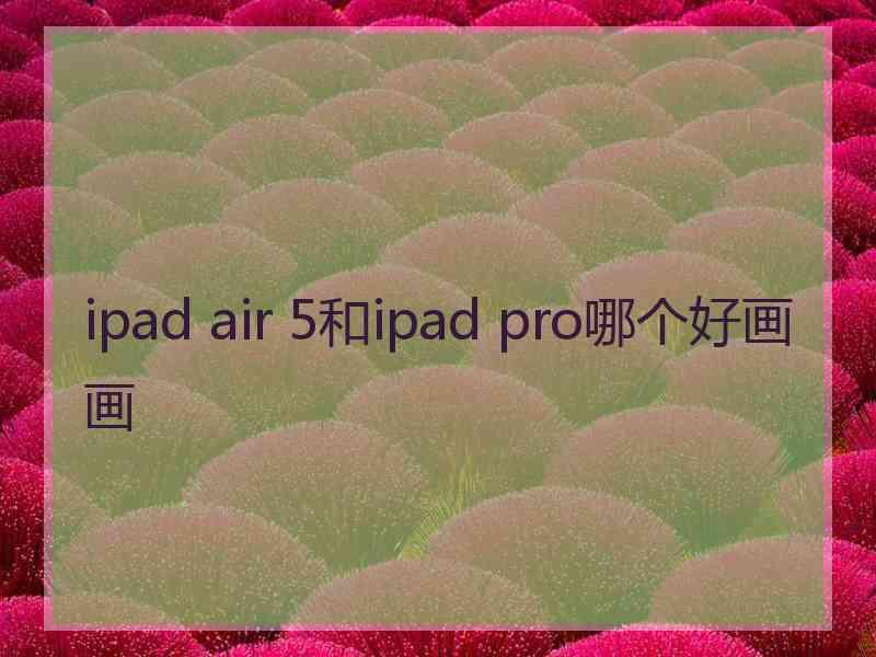 ipad air 5和ipad pro哪个好画画