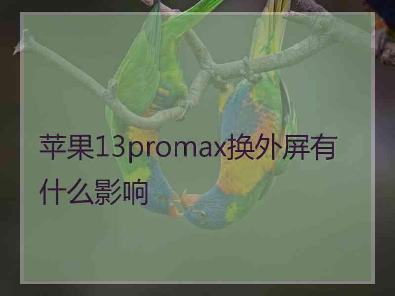 苹果13promax换外屏有什么影响