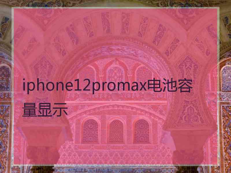 iphone12promax电池容量显示