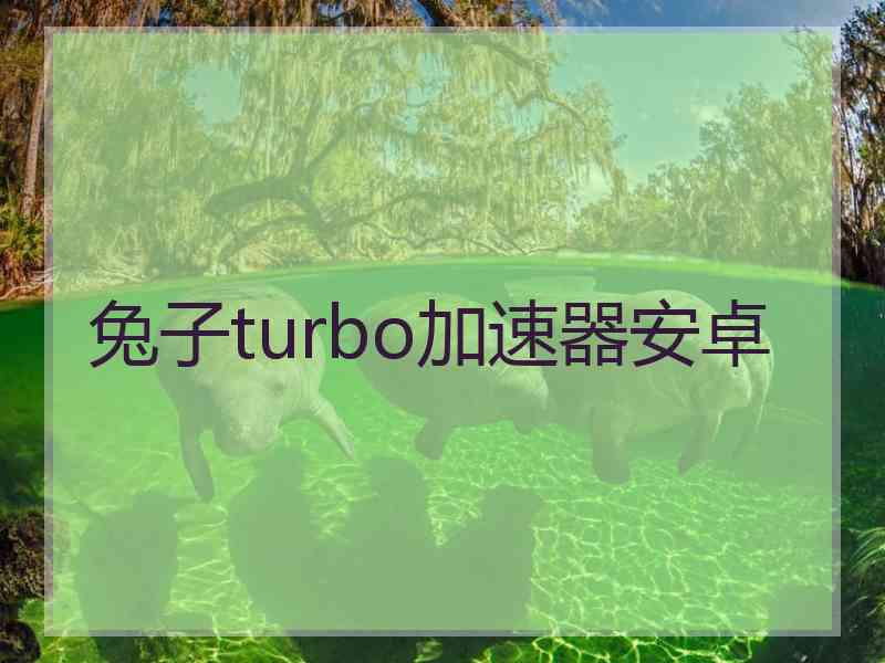 兔子turbo加速器安卓