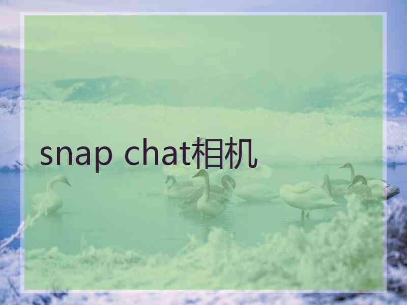 snap chat相机