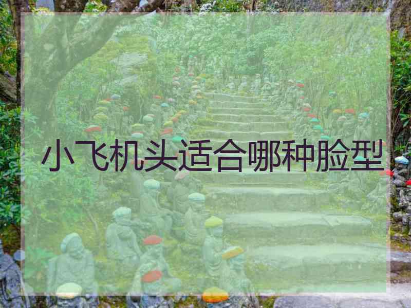 小飞机头适合哪种脸型