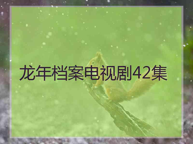 龙年档案电视剧42集