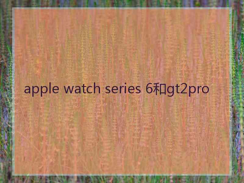 apple watch series 6和gt2pro