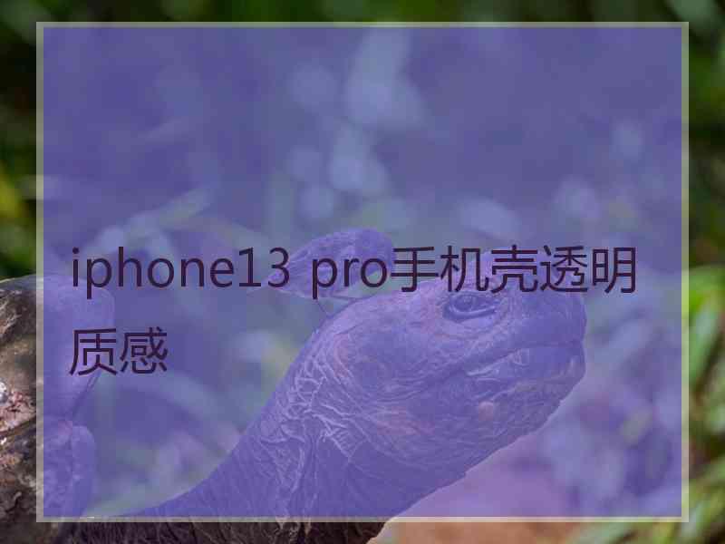 iphone13 pro手机壳透明质感