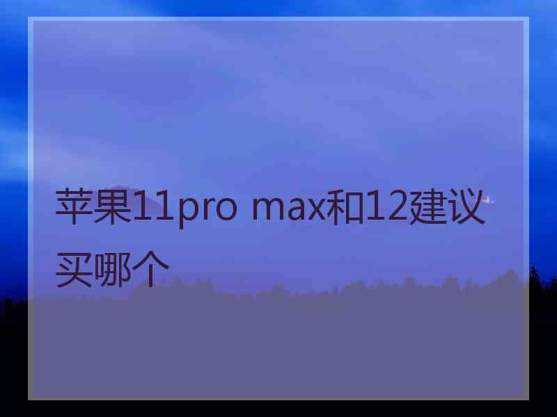 苹果11pro max和12建议买哪个