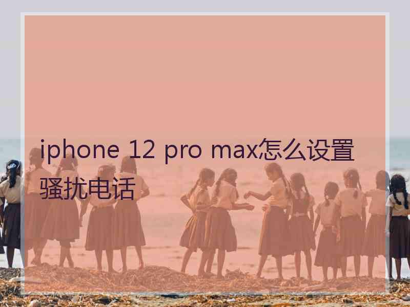 iphone 12 pro max怎么设置骚扰电话