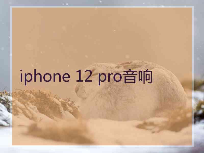 iphone 12 pro音响