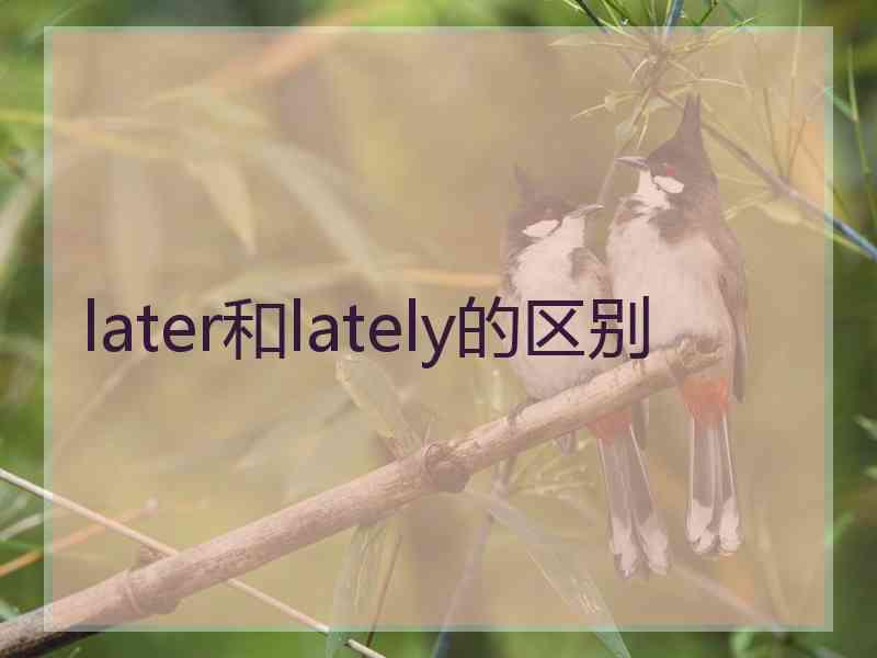 later和lately的区别