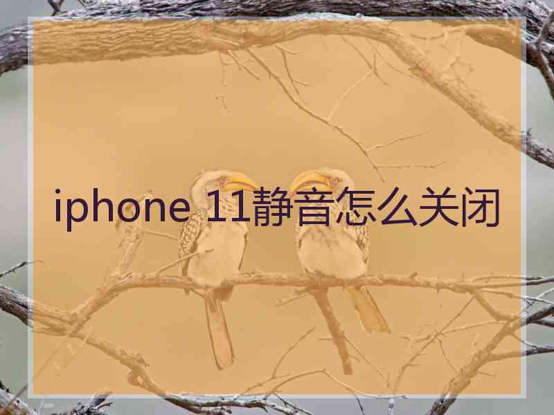 iphone 11静音怎么关闭