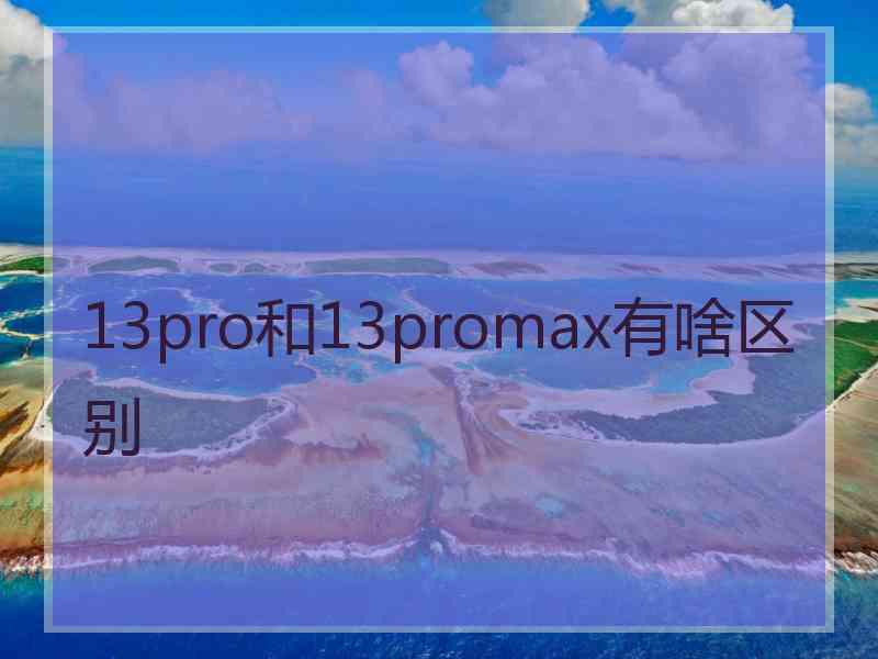 13pro和13promax有啥区别