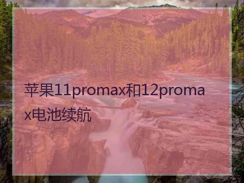 苹果11promax和12promax电池续航