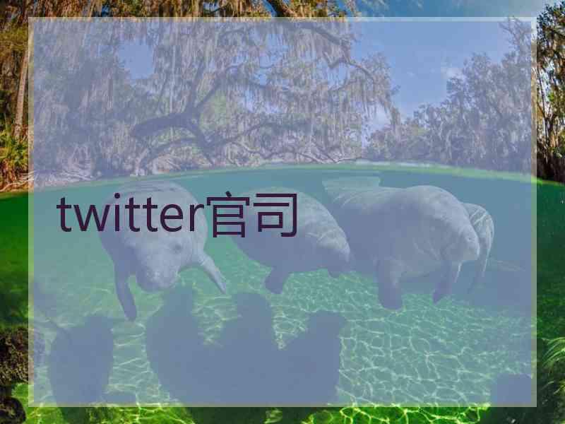 twitter官司