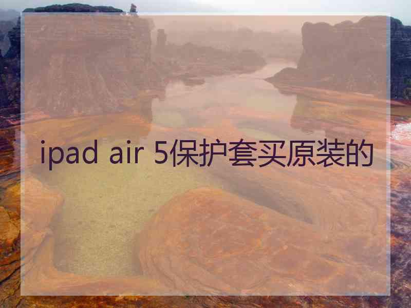 ipad air 5保护套买原装的