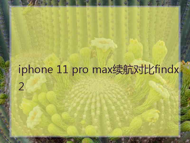 iphone 11 pro max续航对比findx2