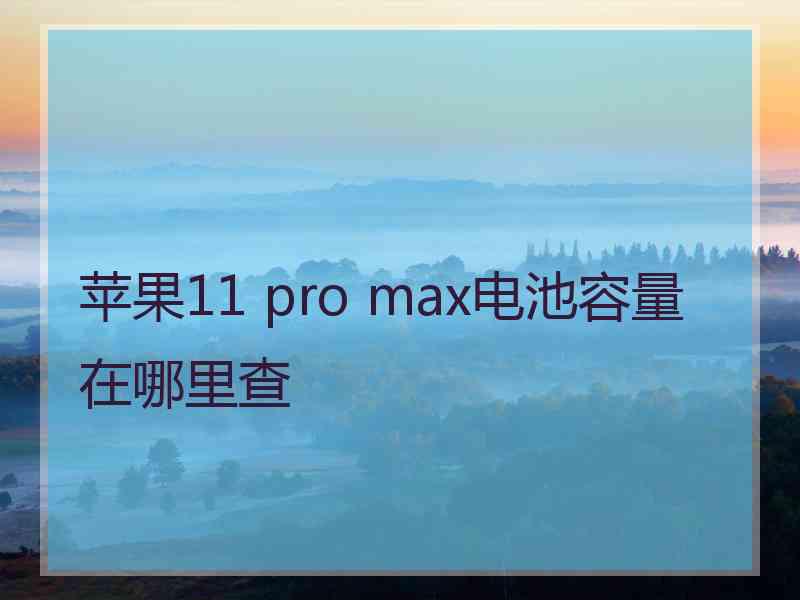 苹果11 pro max电池容量在哪里查