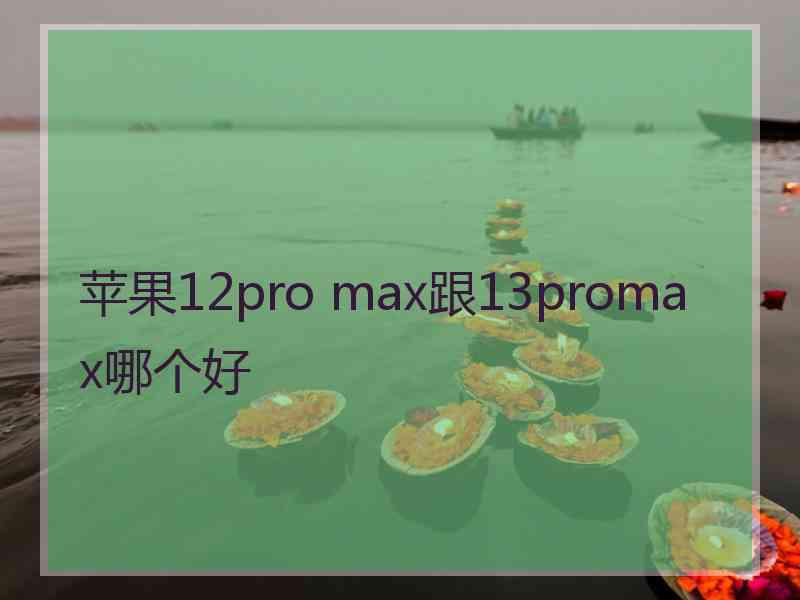 苹果12pro max跟13promax哪个好