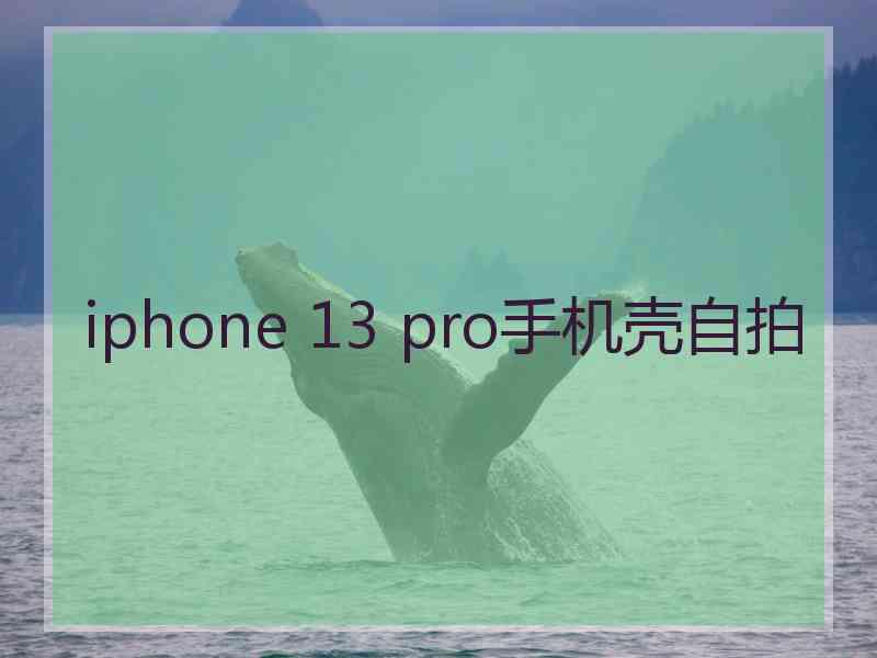 iphone 13 pro手机壳自拍