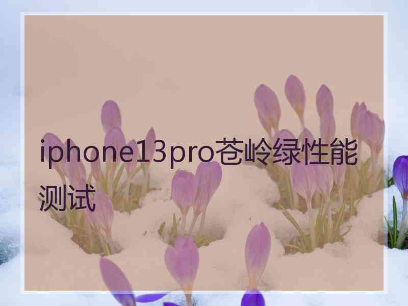 iphone13pro苍岭绿性能测试