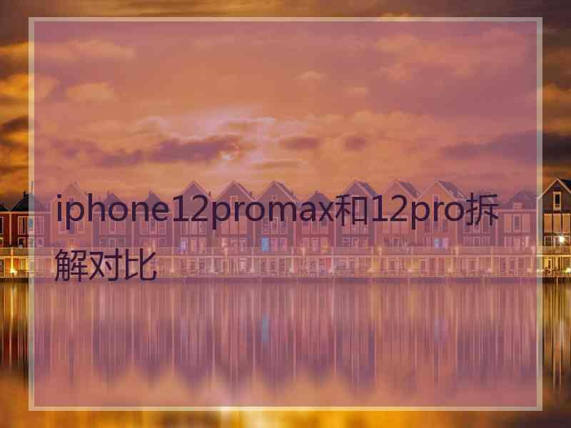 iphone12promax和12pro拆解对比