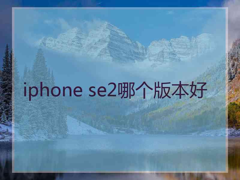 iphone se2哪个版本好