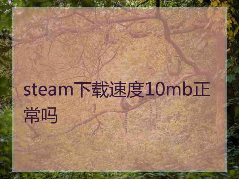 steam下载速度10mb正常吗