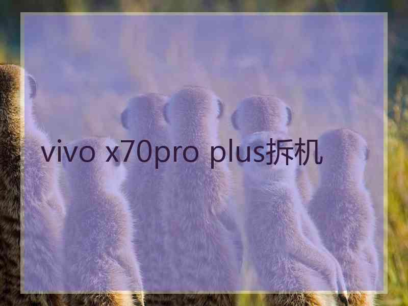 vivo x70pro plus拆机