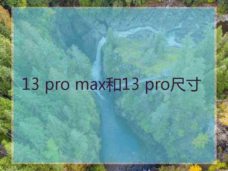 13 pro max和13 pro尺寸