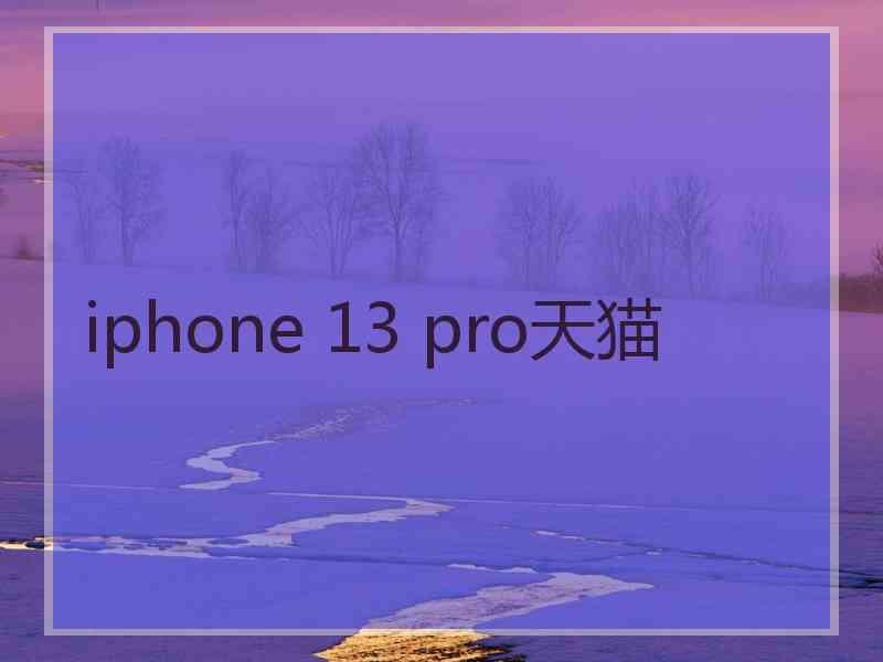 iphone 13 pro天猫