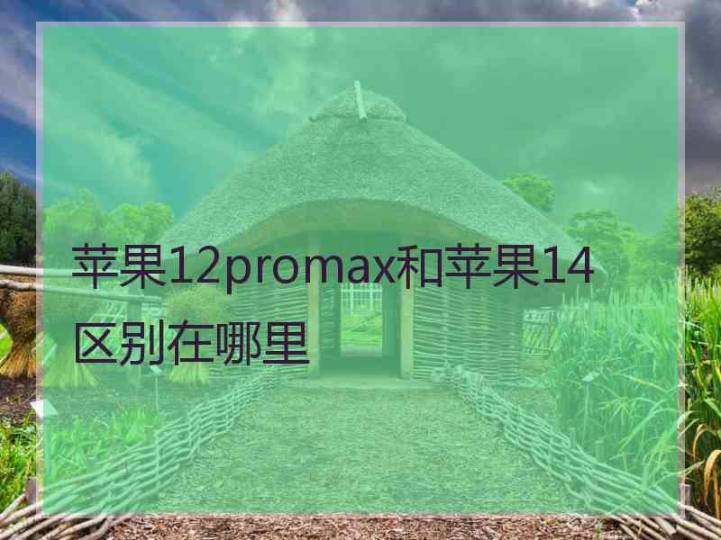 苹果12promax和苹果14区别在哪里