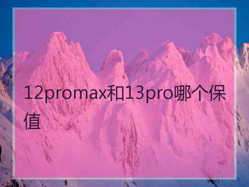 12promax和13pro哪个保值