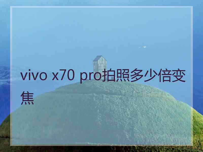 vivo x70 pro拍照多少倍变焦