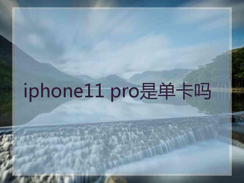 iphone11 pro是单卡吗