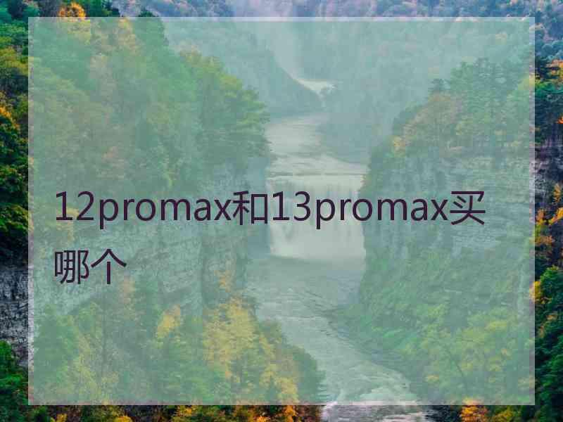 12promax和13promax买哪个