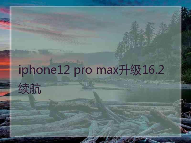 iphone12 pro max升级16.2续航