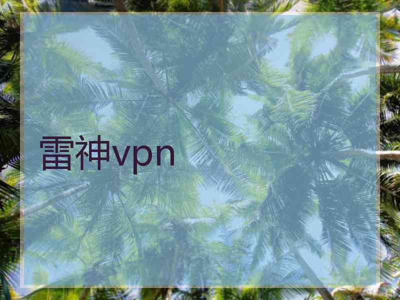 雷神vpn