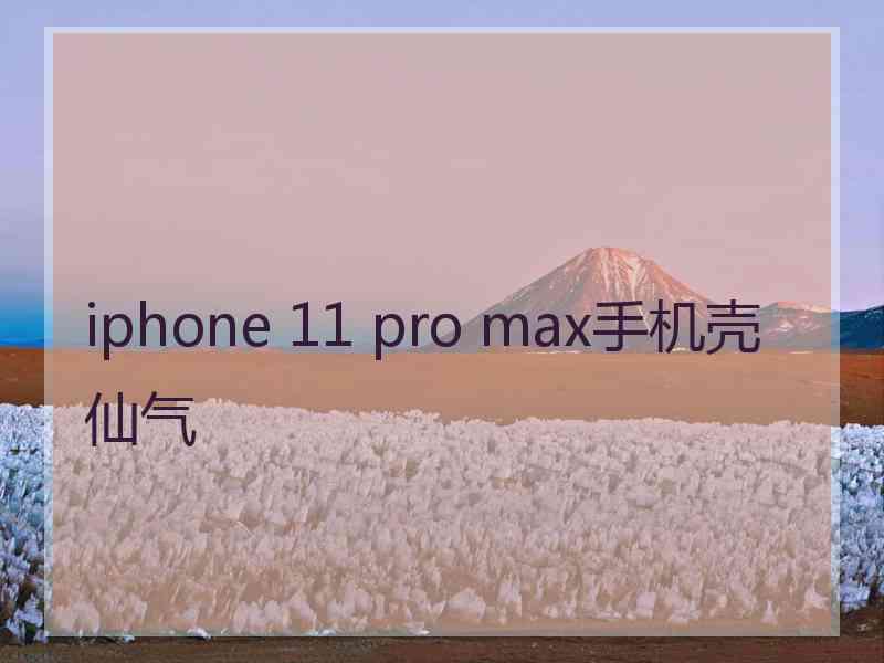 iphone 11 pro max手机壳仙气