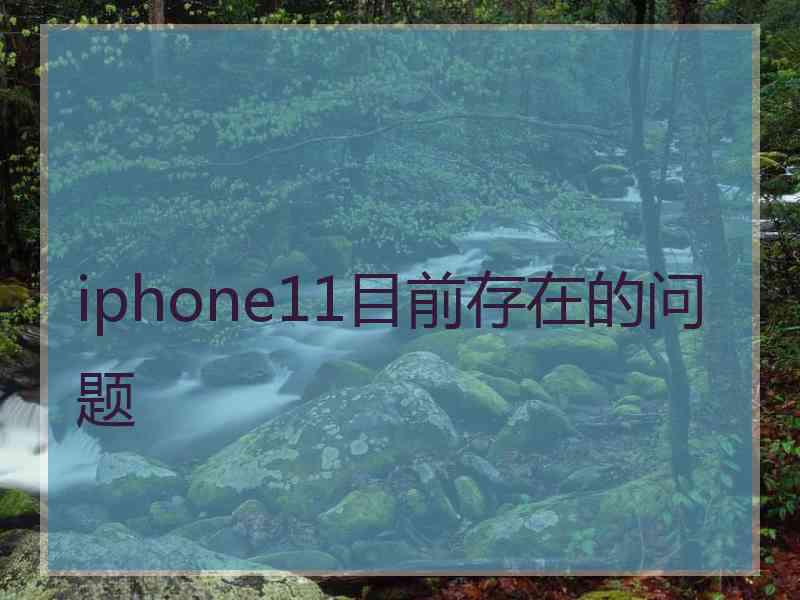 iphone11目前存在的问题