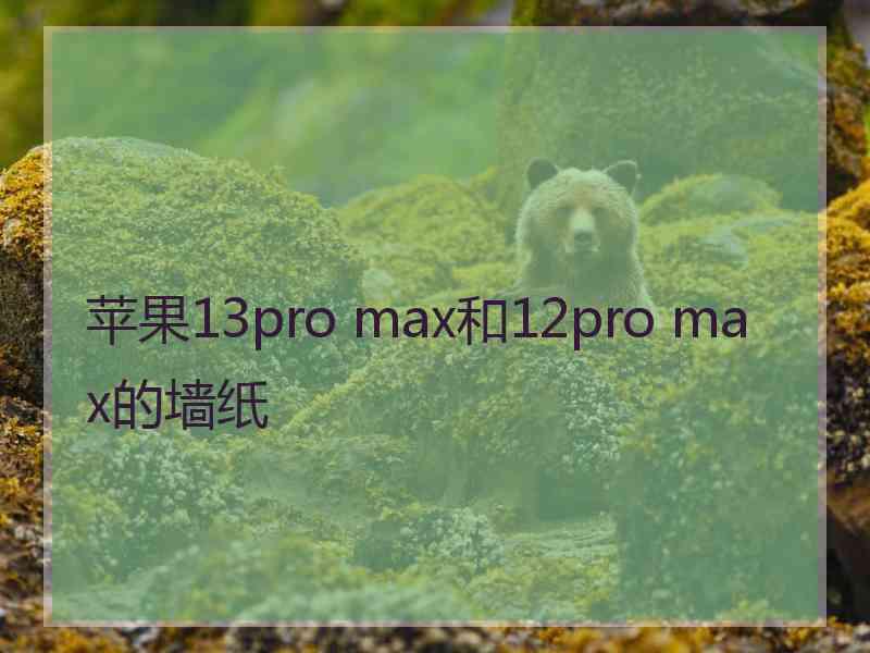 苹果13pro max和12pro max的墙纸