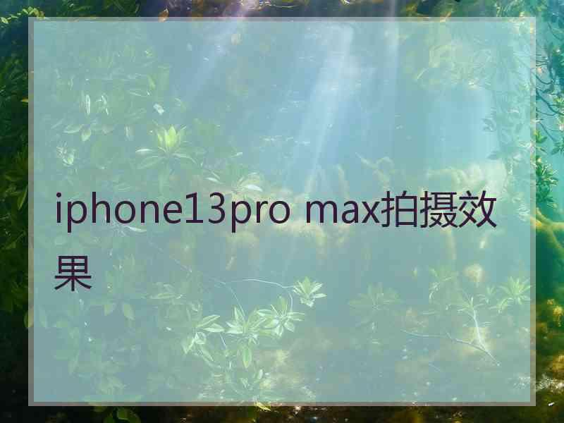 iphone13pro max拍摄效果