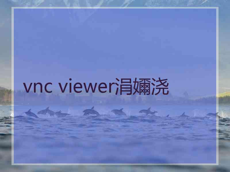 vnc viewer涓嬭浇