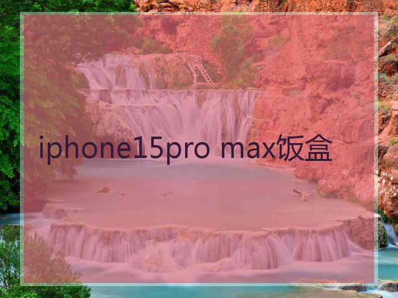 iphone15pro max饭盒