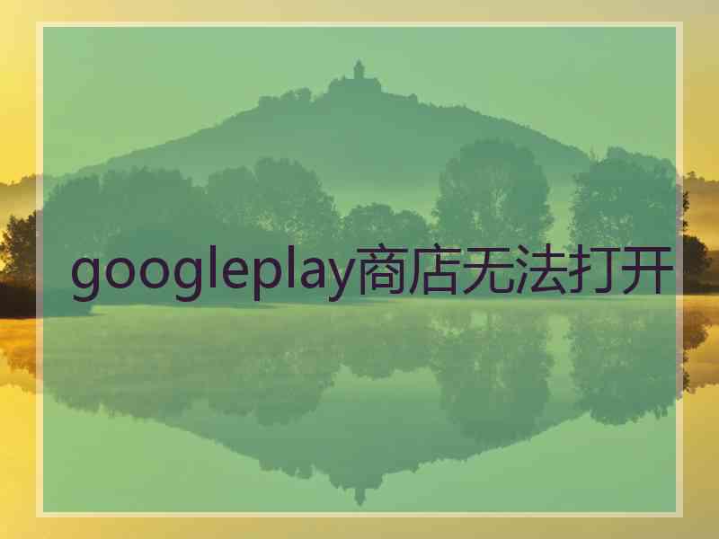 googleplay商店无法打开