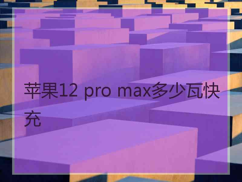 苹果12 pro max多少瓦快充